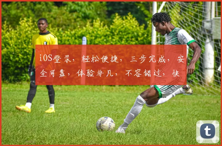 iOS登录，轻松便捷，三步完成，安全可靠，体验非凡，不容错过，快来体验