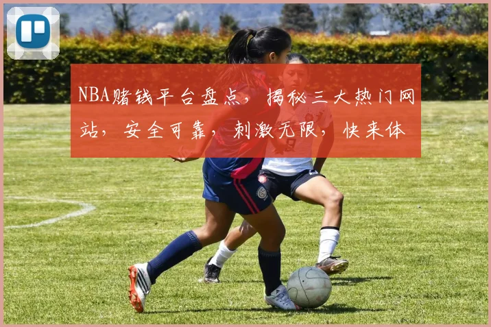 NBA赌钱平台盘点，揭秘三大热门网站，安全可靠，刺激无限，快来体验