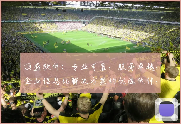 顶盛软件：专业可靠，服务卓越，企业信息化解决方案的优选伙伴，值得信赖