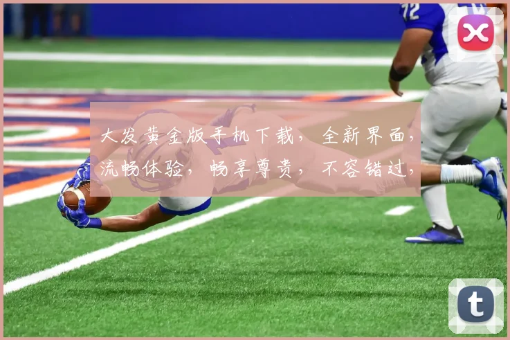 大发黄金版手机下载，全新界面，流畅体验，畅享尊贵，不容错过，立即下载