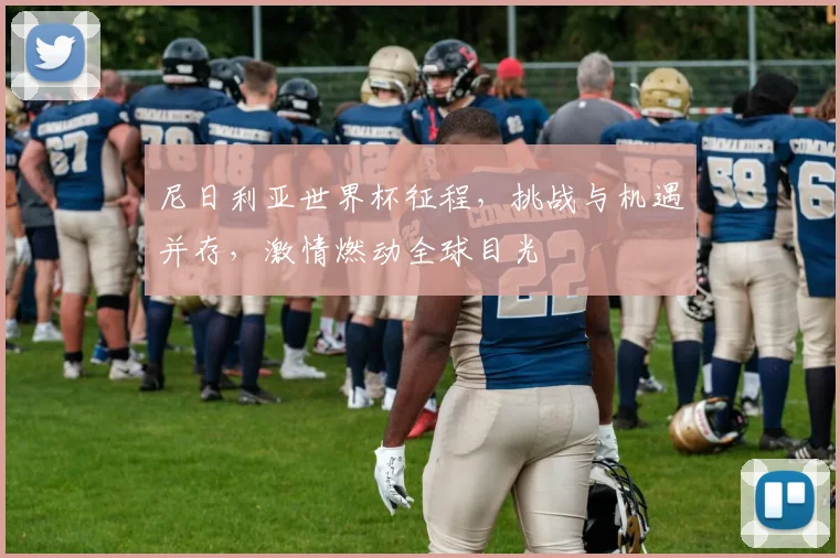 尼日利亚世界杯征程，挑战与机遇并存，激情燃动全球目光