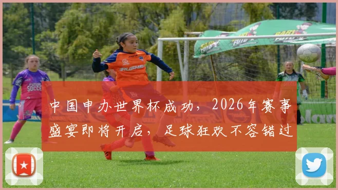 中国申办世界杯成功，2026年赛事盛宴即将开启，足球狂欢不容错过，敬请期待